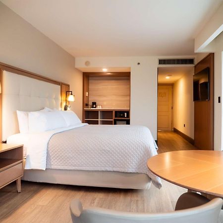 Ms Milenium Monterrey Curio Collection By Hilton Hotel San Pedro Garza Garcia Ngoại thất bức ảnh